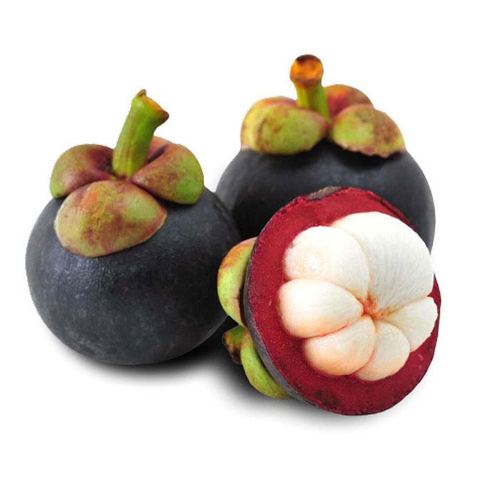 Panen Pangan Indonesia