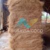 Cocofiber/Coir Coconut Fiber