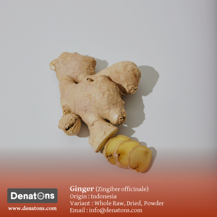Ginger-PT. Denatons Global Indonesia
