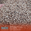 White Pepper - PT. Denatons Global Indonesia