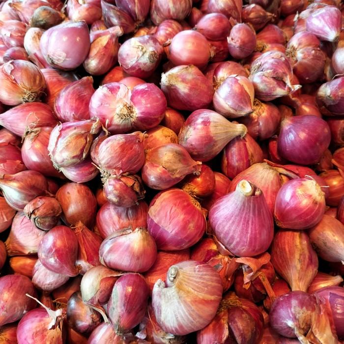 Shallot