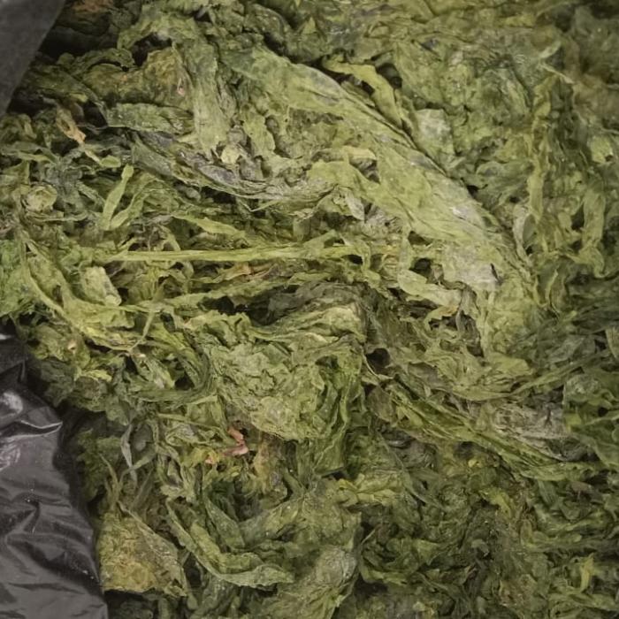 Green Seaweed Powder