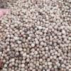 White Pepper - PT. Denatons Global Indonesia