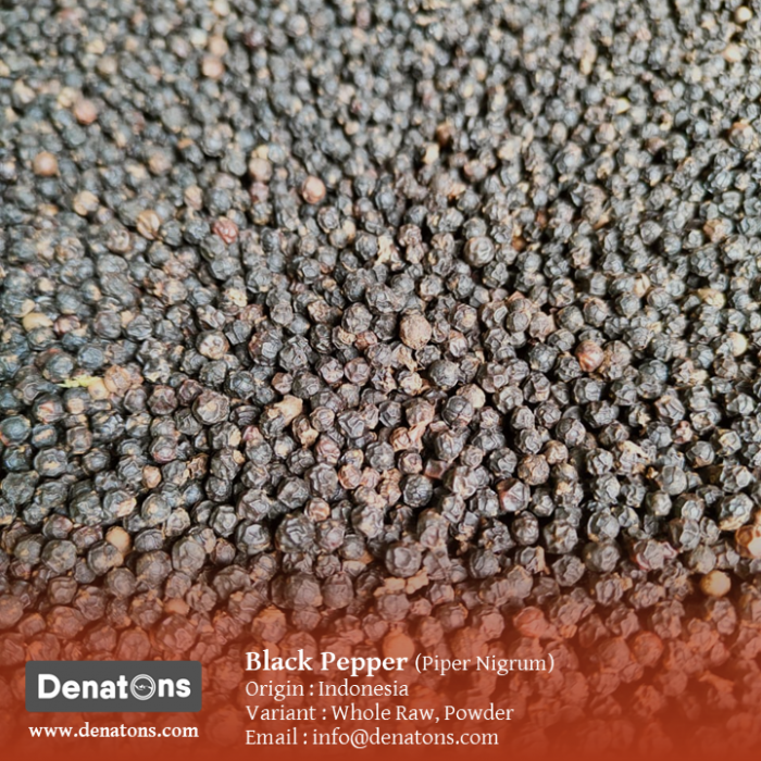 Black Pepper - PT. Denatons Global Indonesia