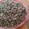 Coffee Beans Product