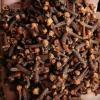 CLOVES