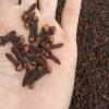 CLOVES