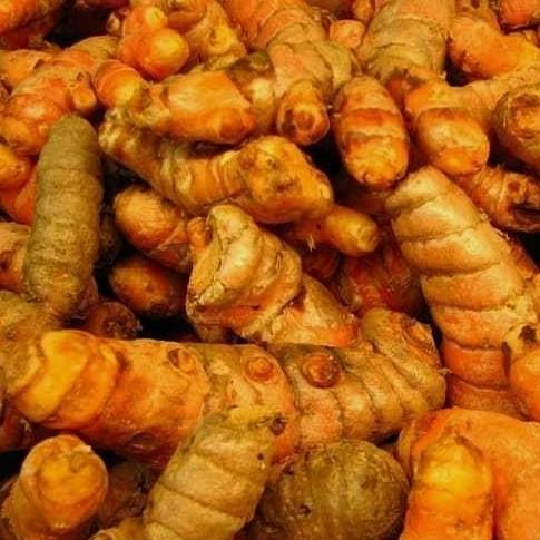 Turmeric