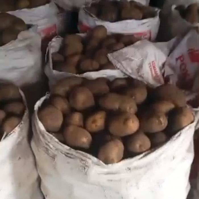 Potatoes