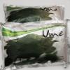 Green Seaweed Powder 