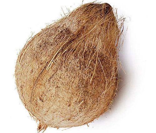 Semi Husked Coconut