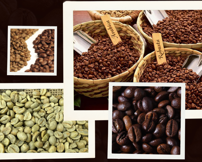 Arabica/Robusta Coffee